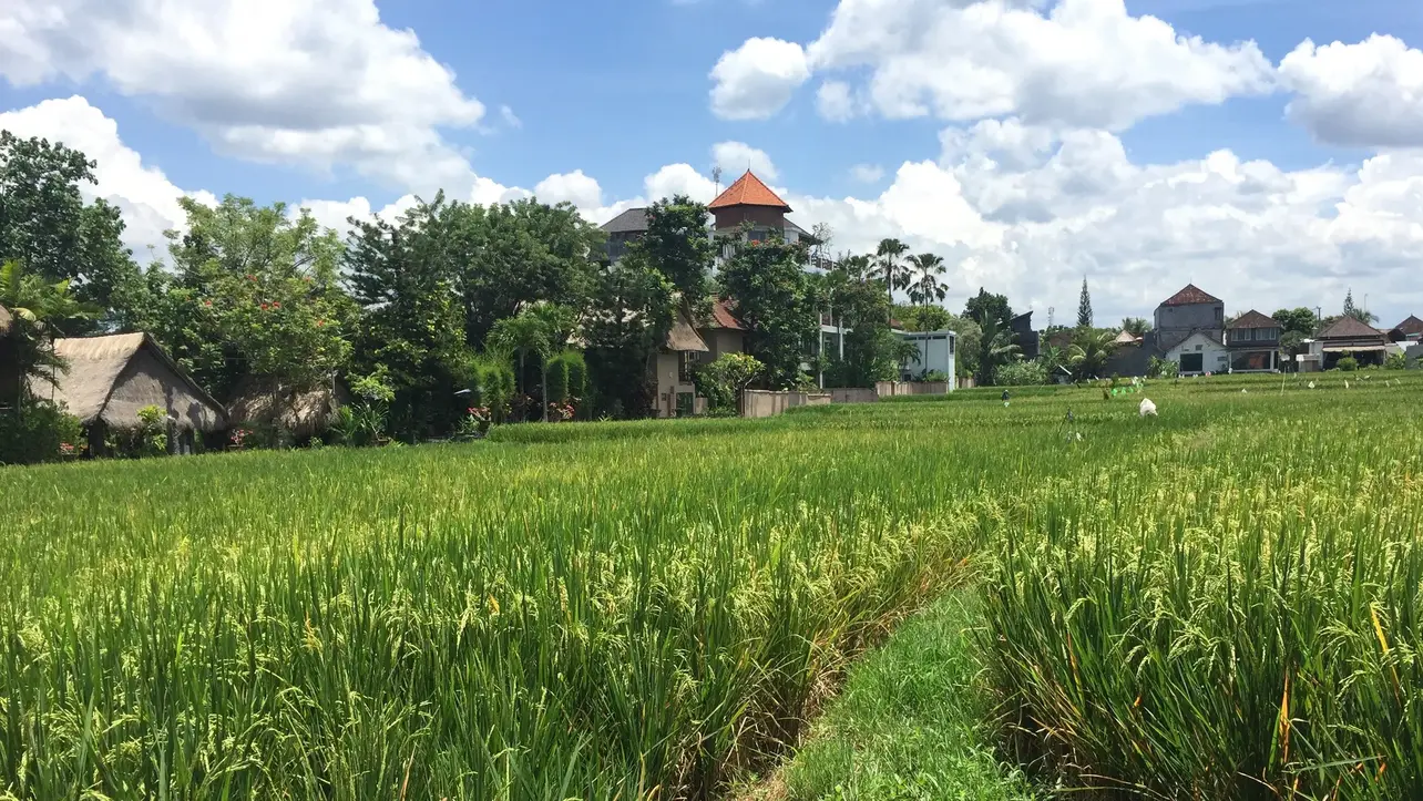 Tegal Sari Accommodation — Bali 80571